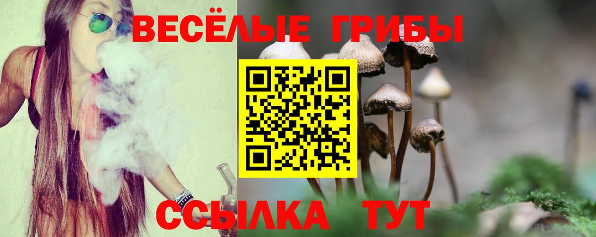Галлюциногенные грибы ЛСД Кудымкар